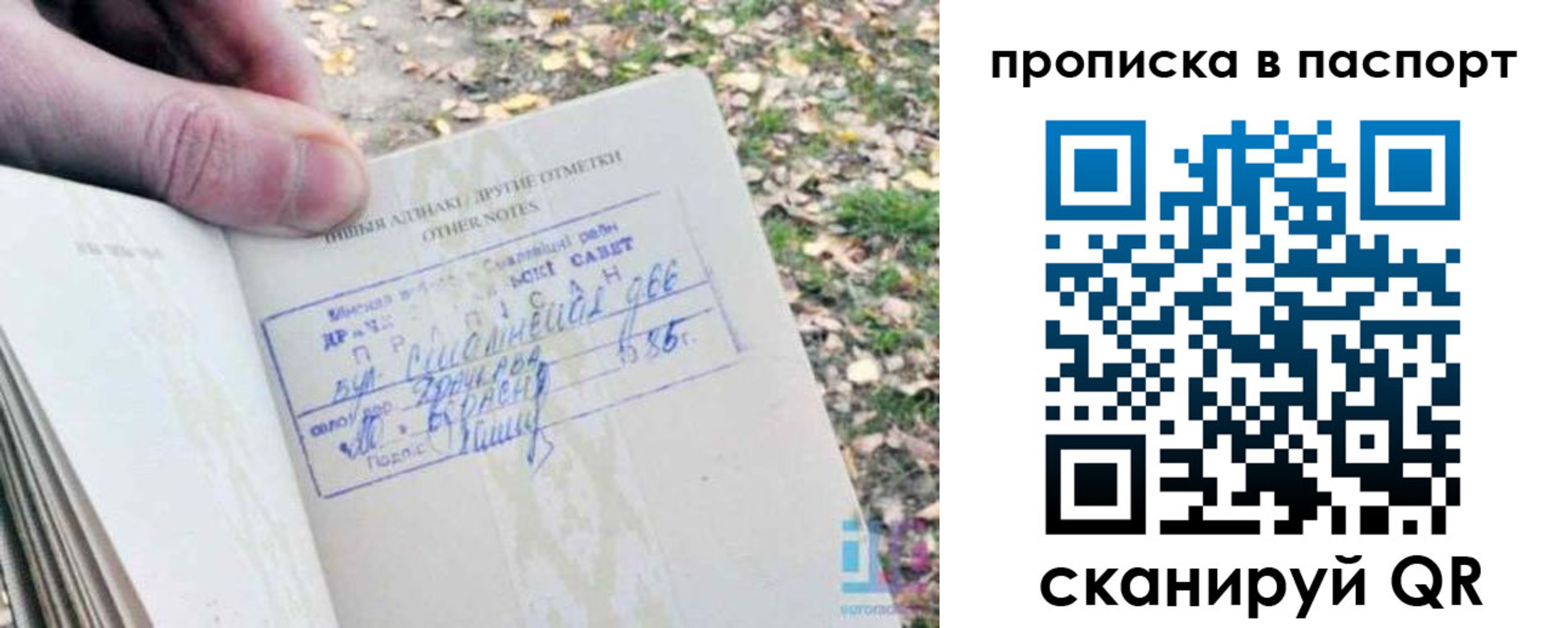 купить прописку в Иланском